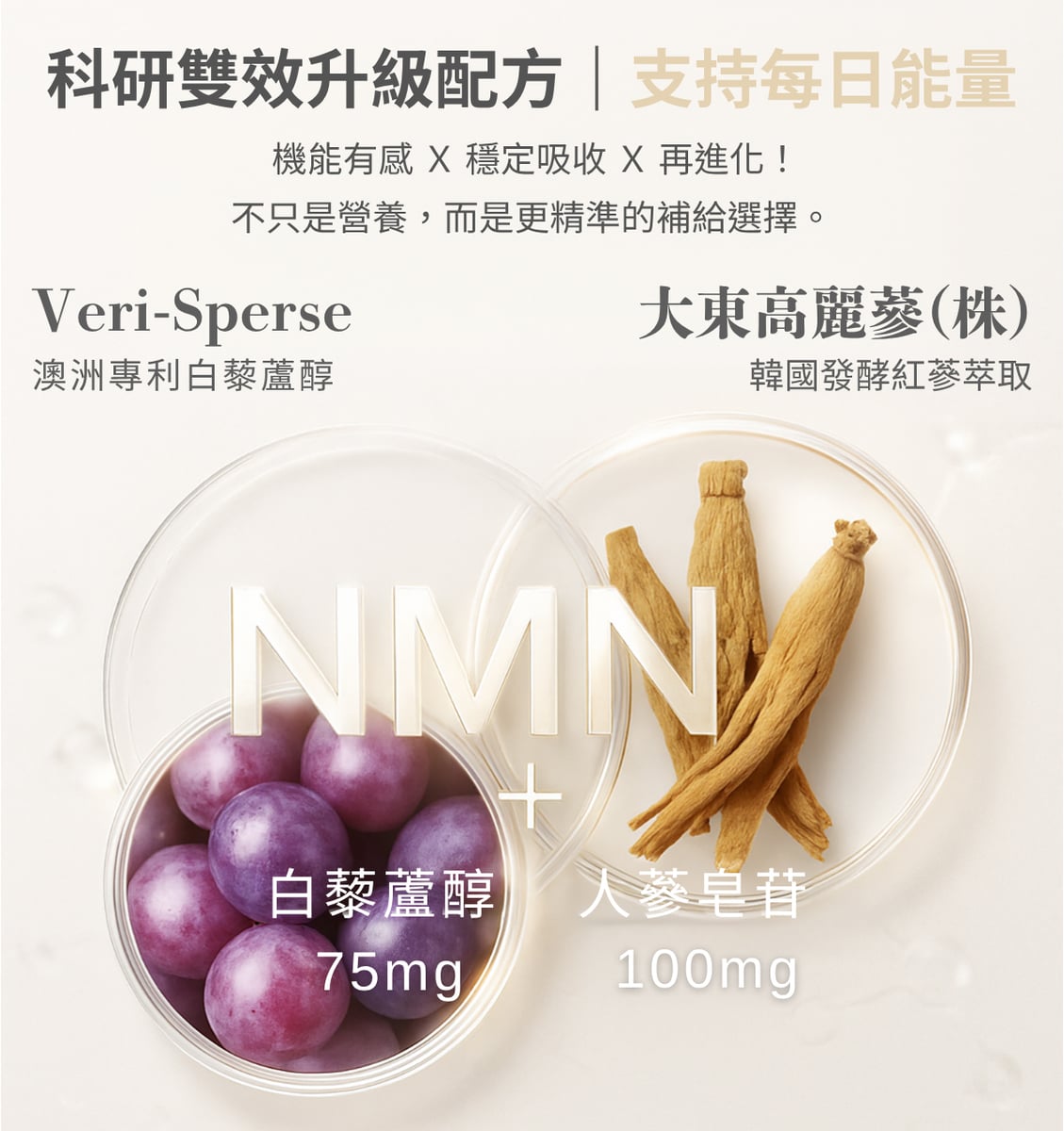 9合1 NMN 原料介紹 8