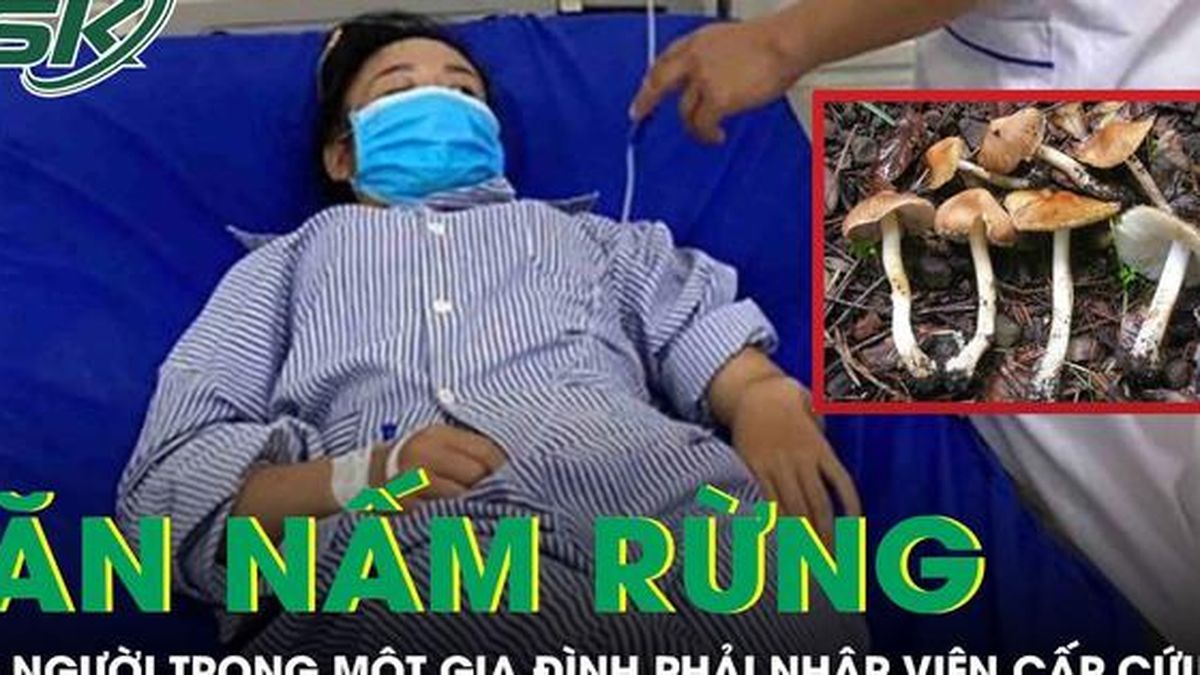 Ăn nấm rừng, 4 người trong một gia đình phải nhập viện cấp cứu - Báo Sức Khỏe &amp; Đời Sống