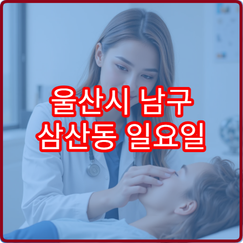 울산시 남구 삼산동 일요일 정형외과 진료 가능한 병원 통증 치료 안내
