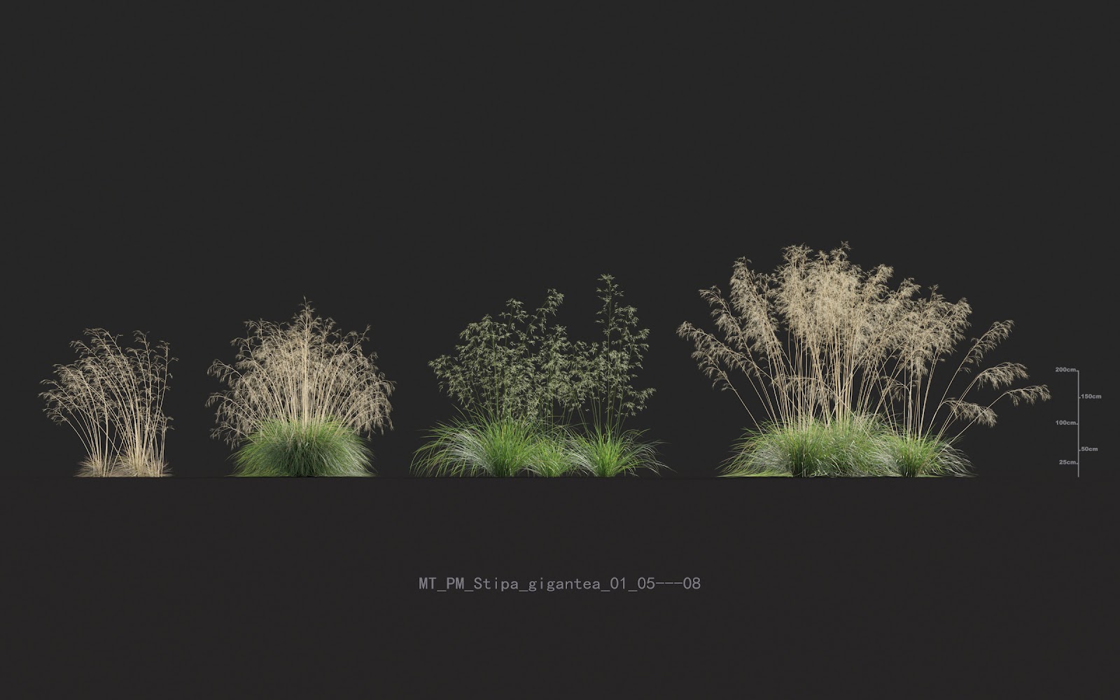 Maxtree - Plant Models Vol.20