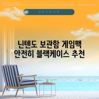 닌텐도 스위치 칩케이스, 게임팩 보관함, 스위치 게임 액세서리, 초보자 추천, 닌텐도 추천 리뷰