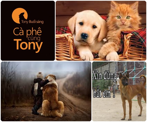 Hot boy, hot girl và hot dog