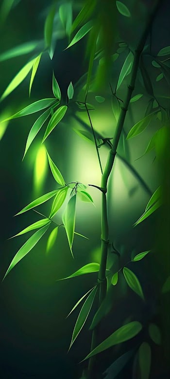 Green Leaves Picture