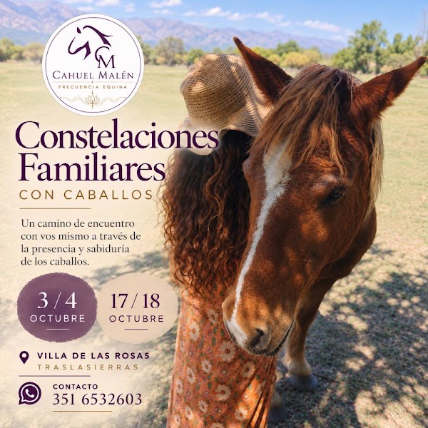 Constelaciones Familiares con Caballos