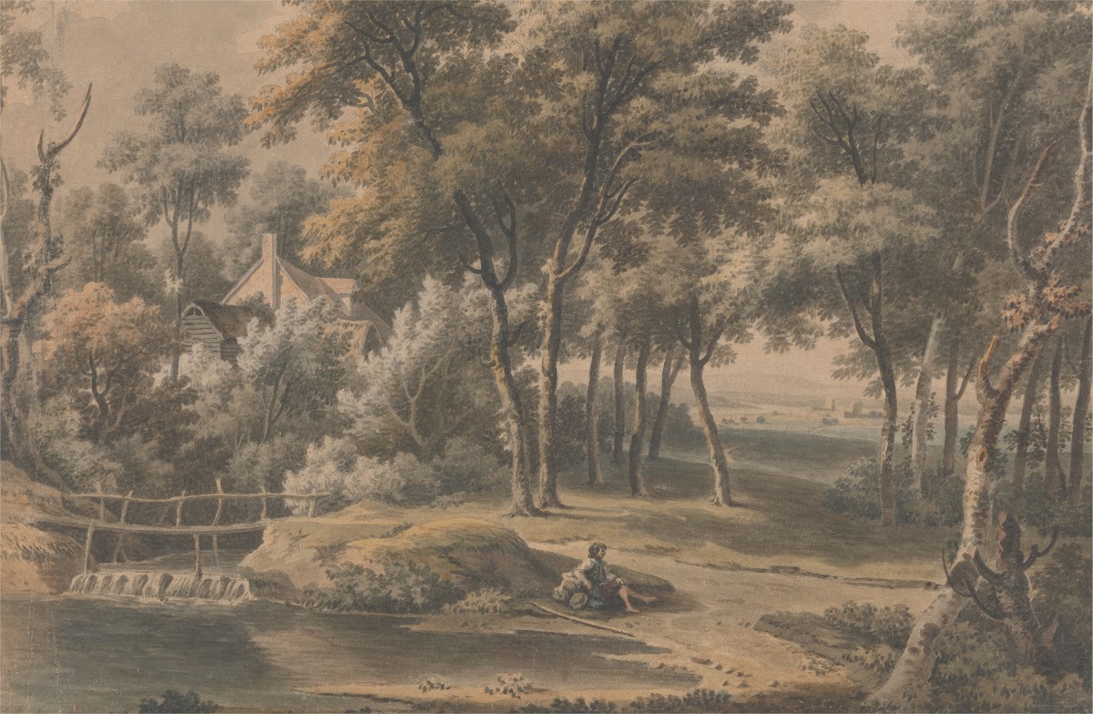 A Woody Landscape
