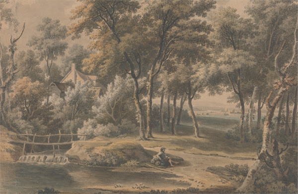 A Woody Landscape