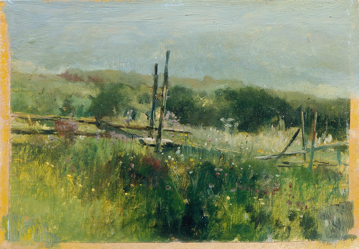 Wiese mit Zaun