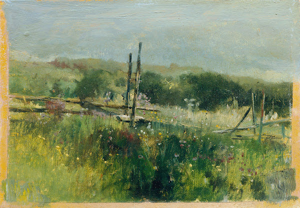 Wiese mit Zaun
