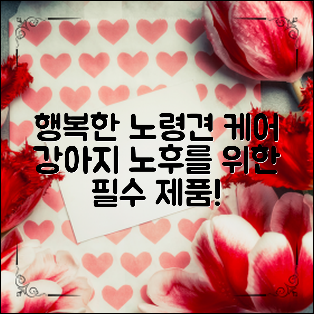 강아지 노령견 케어제품으로 행복한 노후 생활 만들기
