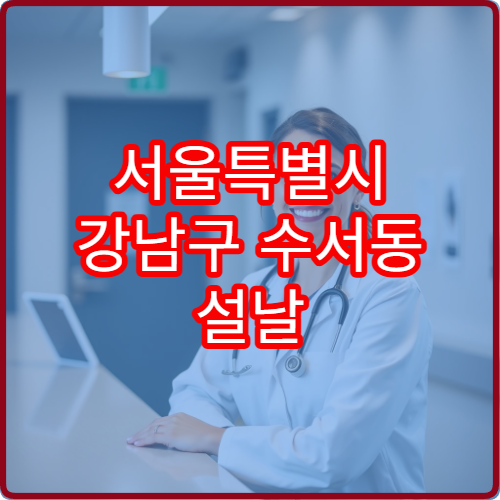 서울특별시 강남구 수서동 설날 명절 연휴 휴일약국 수서역 GTX 인근 소화제·해열제 안내
