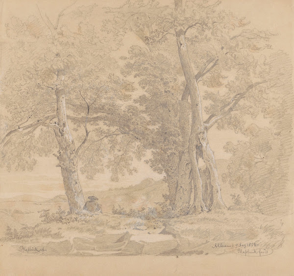 Draughtsman among Trees by Lake Albano 1856