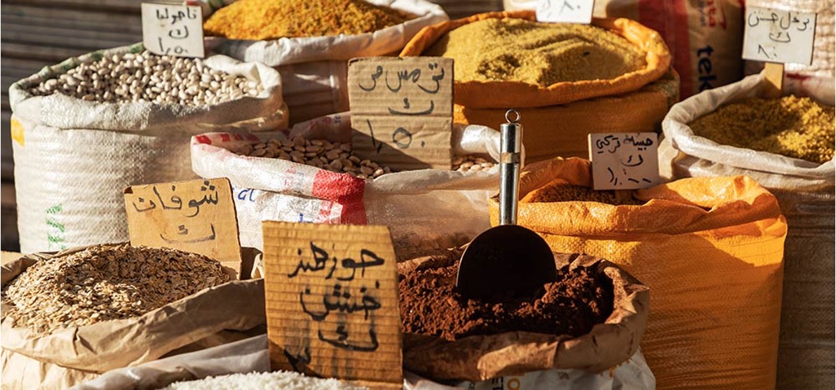 - Circuit Jordanie-: quoi découvrir comme belle campagne ou extérieur ?