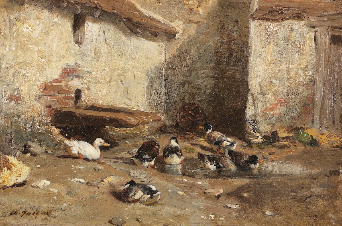 Ducks in the courtyard