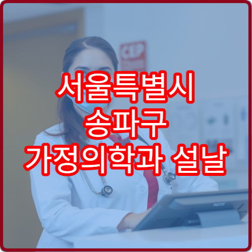 서울특별시 송파구 가정의학과 설날 명절 연휴 진료 병원 감기·소화불량 종합 진료 가능