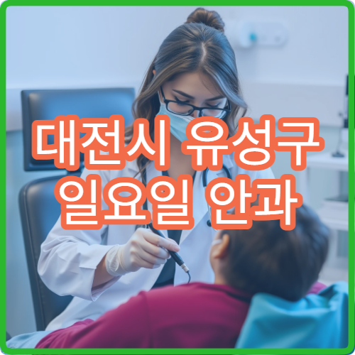 대전시 유성구 일요일 안과 진료 병원 정보 눈 충혈 시력 검사