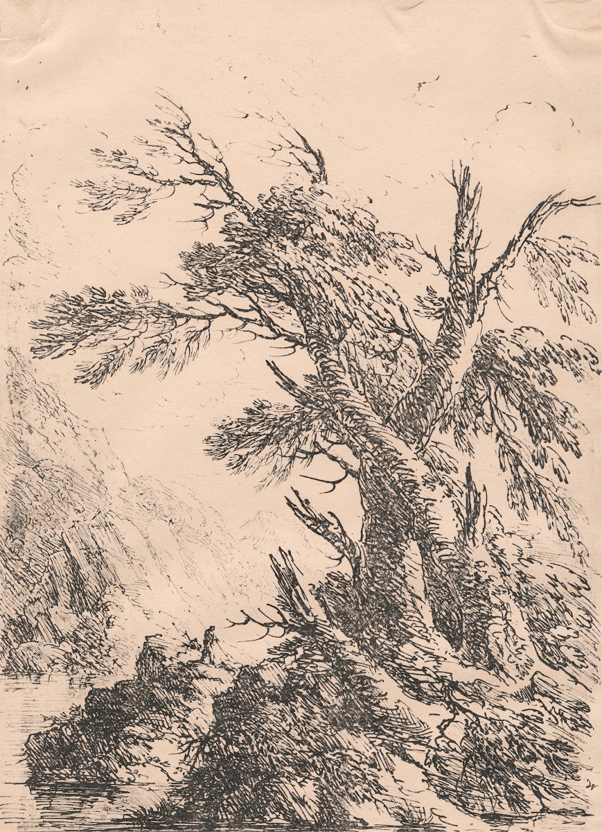Landscape with Old Trees by Water 1803