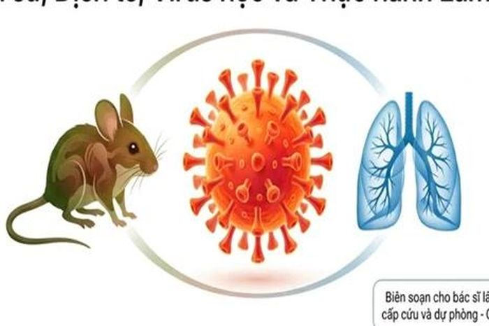 Thế giới lo ngại chùm ca nhiễm Hantavirus, bác sĩ Việt Nam cảnh báo nguy cơ - Báo Tri thức &amp; Cuộc sống