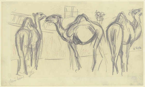 Camels Circus Krone