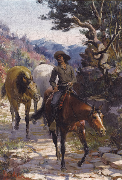 Bandit 1894