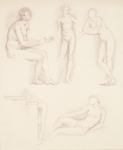 Female Nude  Five Studies