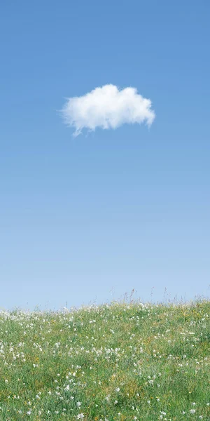 Meadow, Sky, Cloud, Springtime 5K iPhone Wallpaper Background
