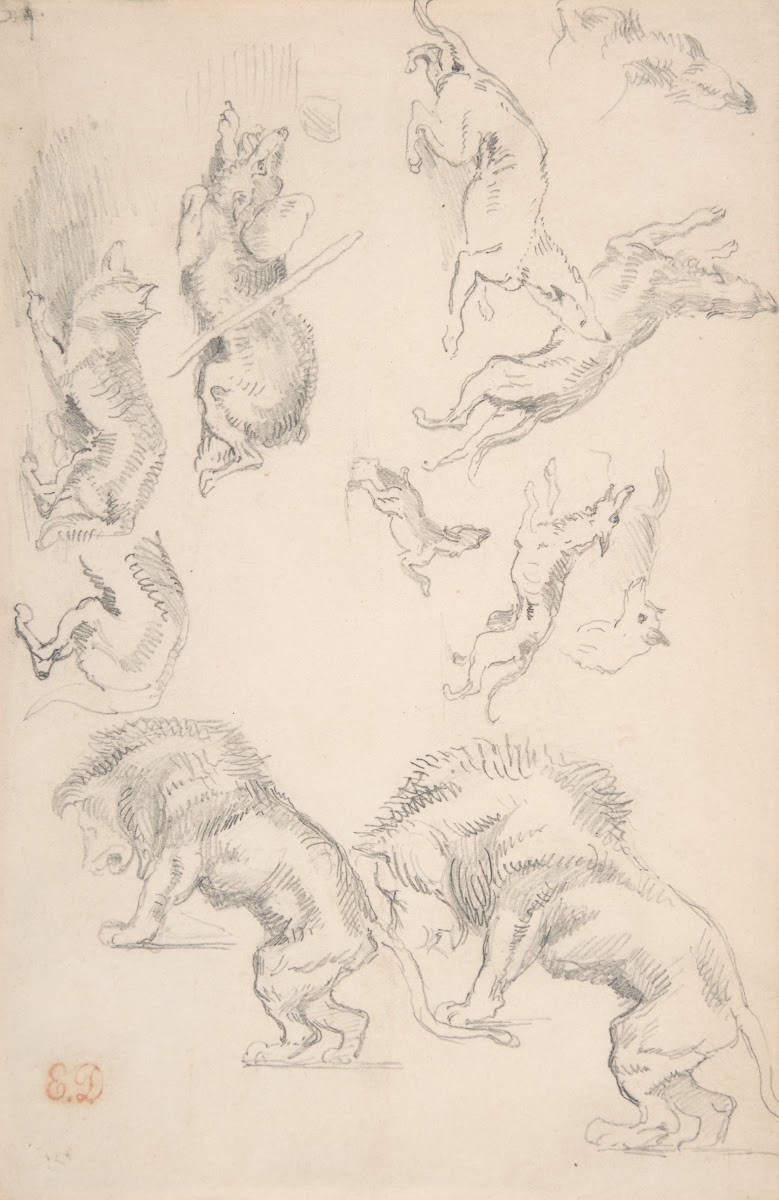 Studies of Animals 181063