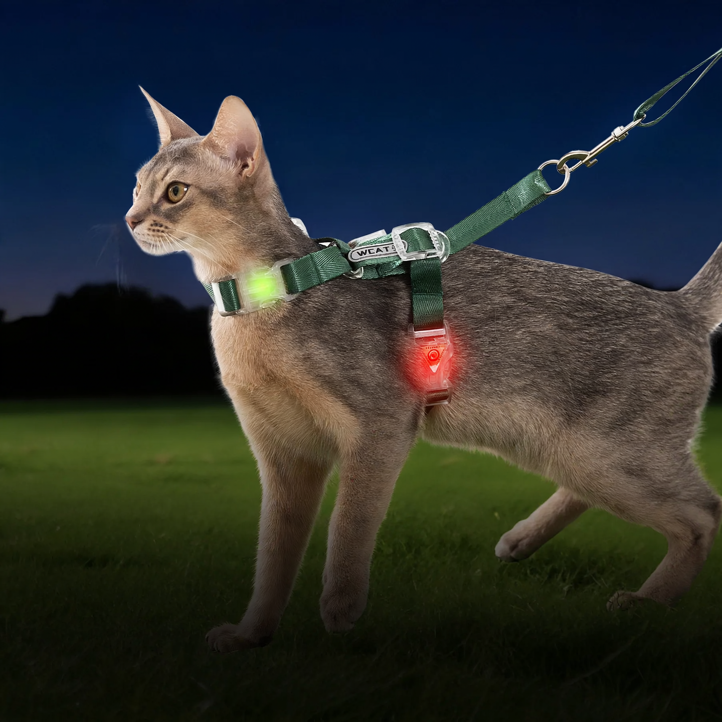 Cat Harness, Polyester, with Bright Version