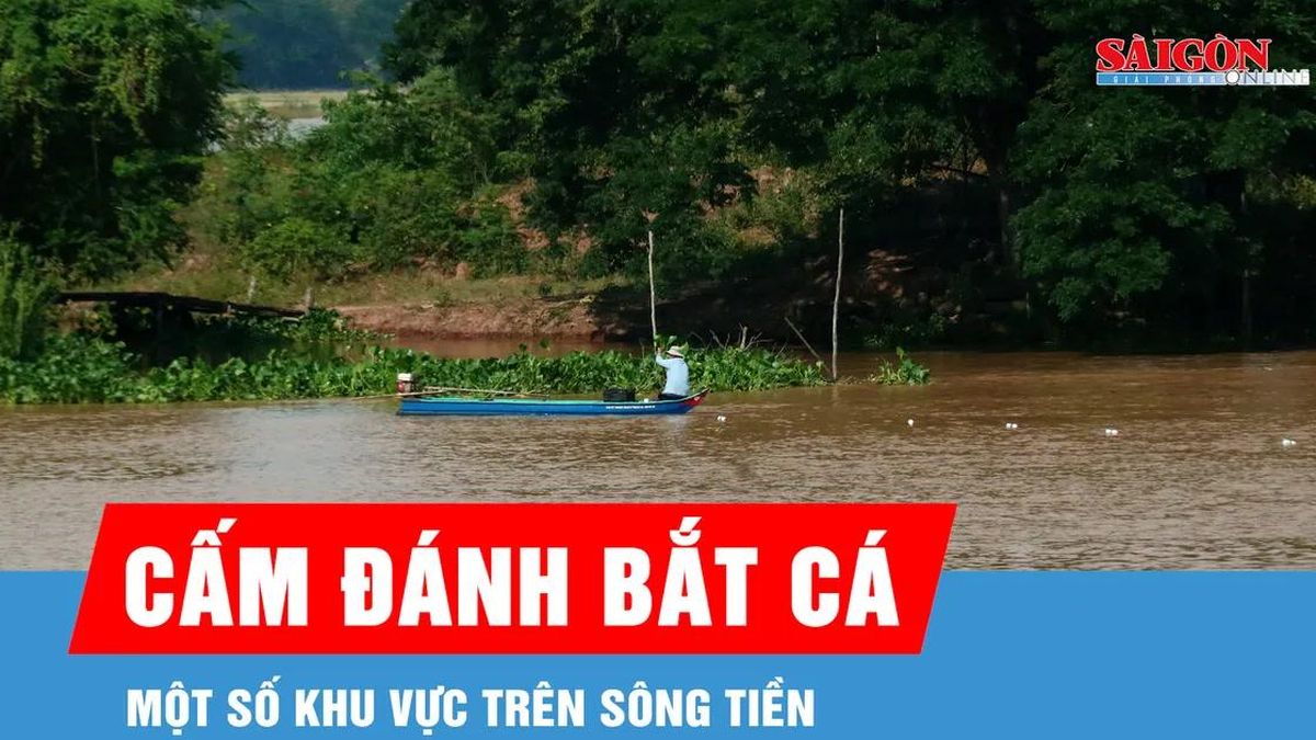 Đồng Tháp: Cấm người dân đánh bắt cá một số khu vực trên sông Tiền - Báo Sài Gòn Giải Phóng