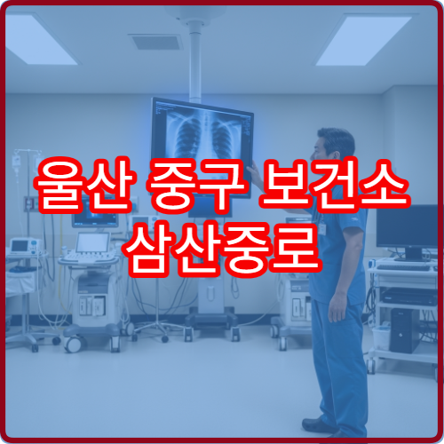 울산 중구 보건소 삼산중로 대중교통 이동 경로와 실시간 버스 앱 활용