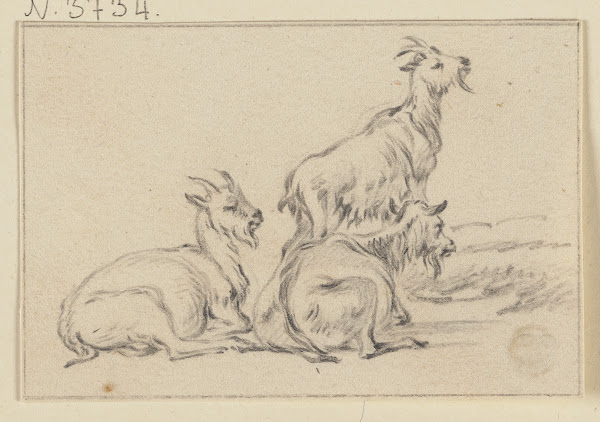 Three goats
