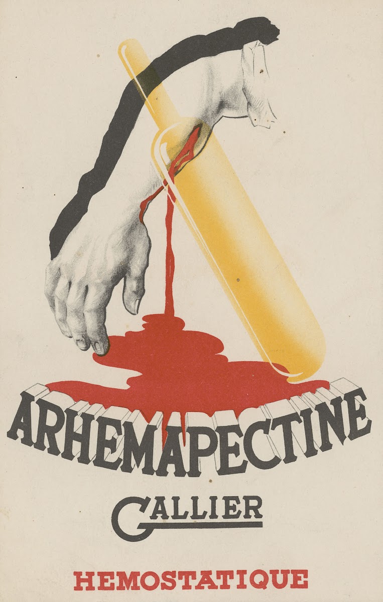 Arhemapectine Gallier 3 1910 1950