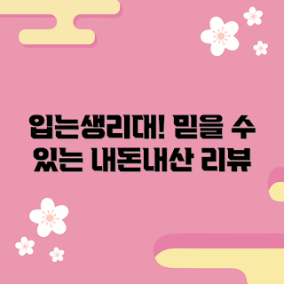 입는생리대 내돈내산, 생리대 추천, 편한 생리대, 생리대 효과, 착용감 좋은 생리대