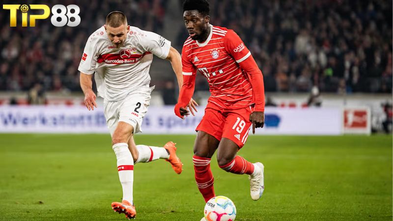 đối đầu Stuttgart vs Bayern Munich