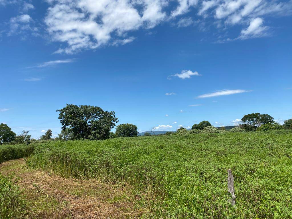 Fazenda em Arinos - MG 7