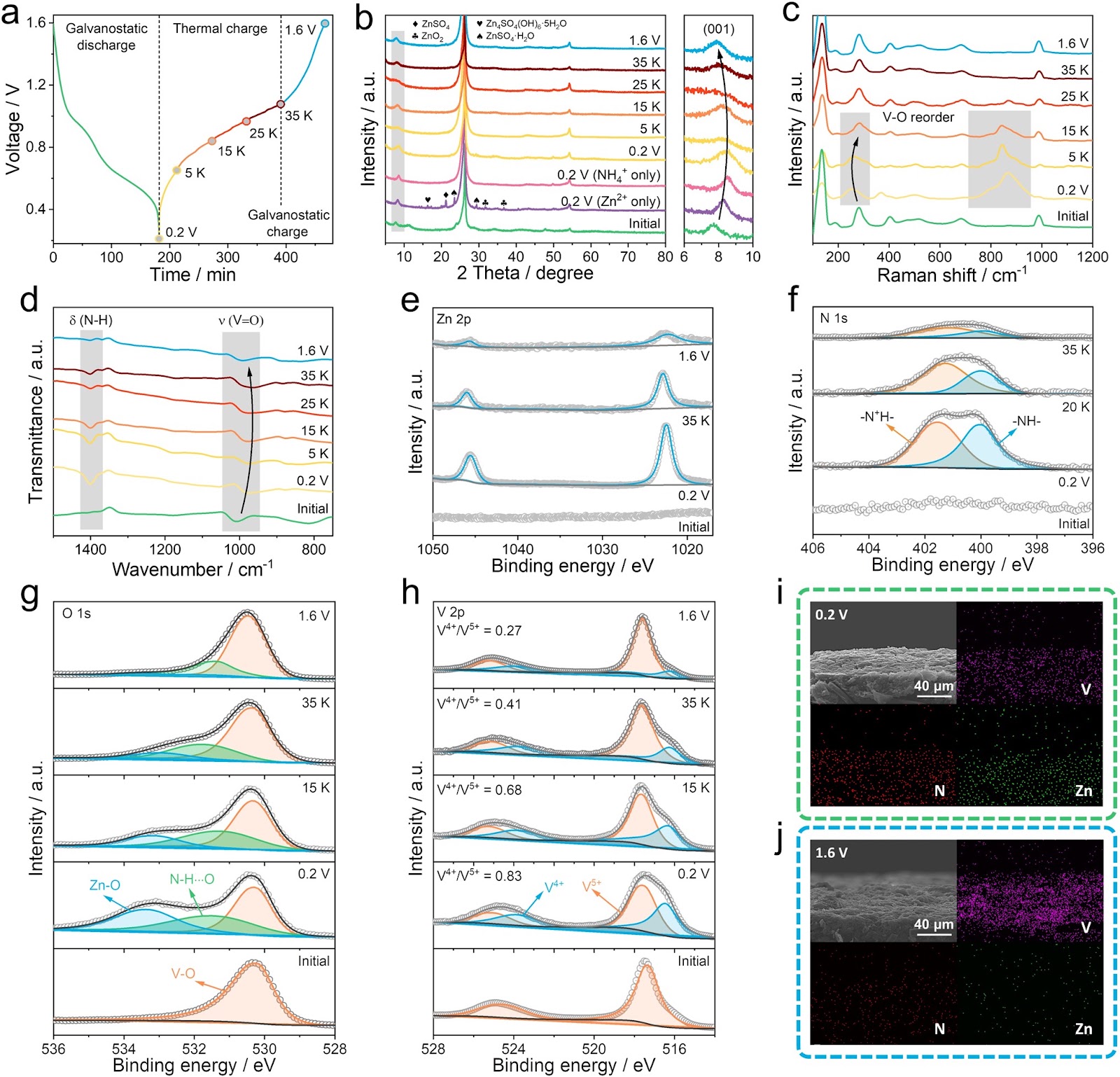 A High-Performance Thermal Charging Cell with High Power Density and Long Runtime Enabled by Zn2+ and NH4+ Co-insertion