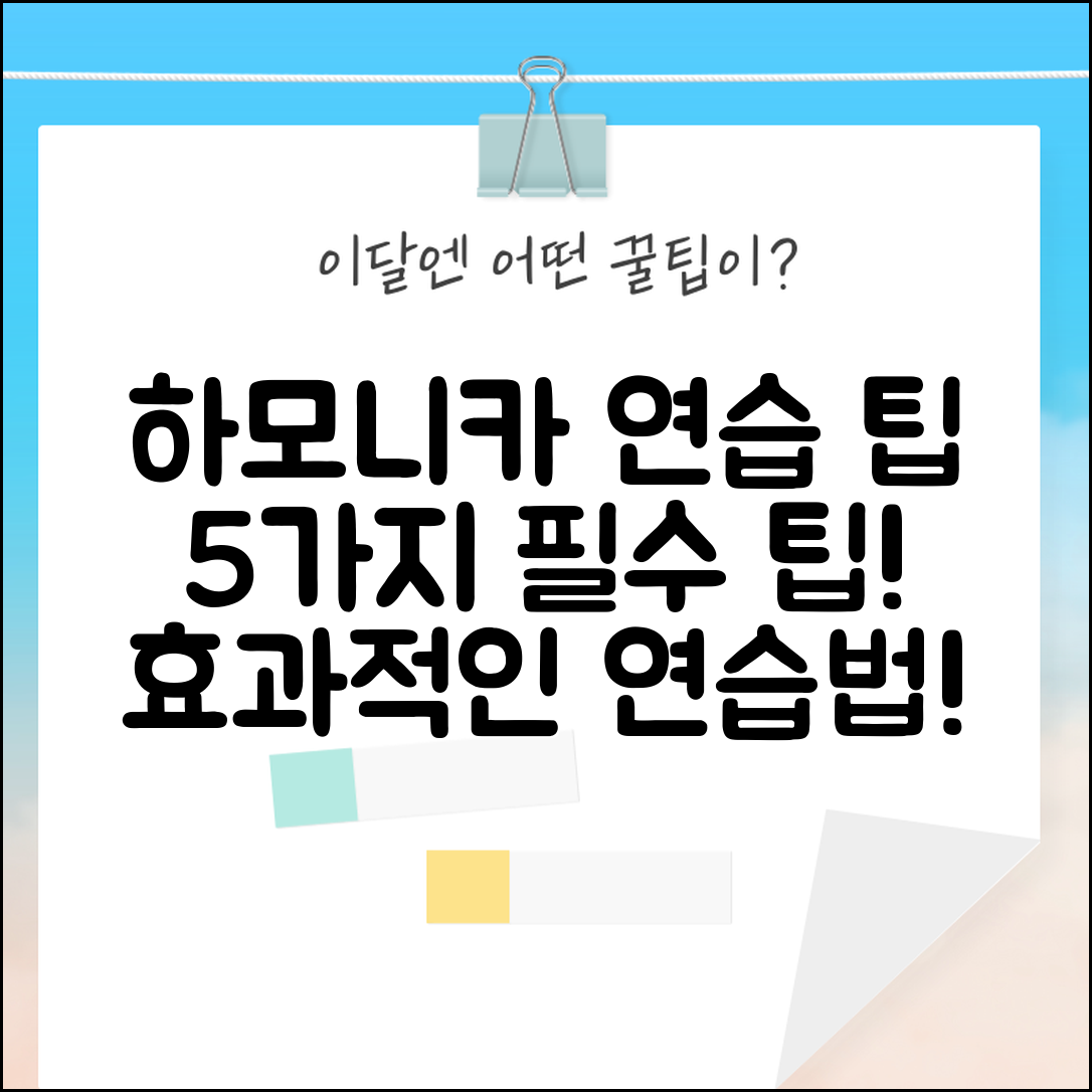 하모니카리더스를 위한 5가지 연습 팁