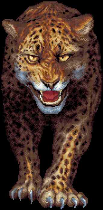 CMP 400683 Leopard Night Savannah