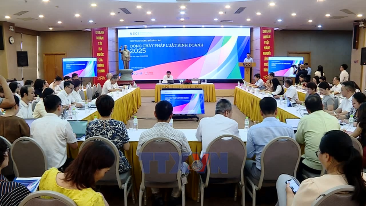 VCCI: 5 'dòng chảy' tạo chuyển biến môi trường kinh doanh - Bnews