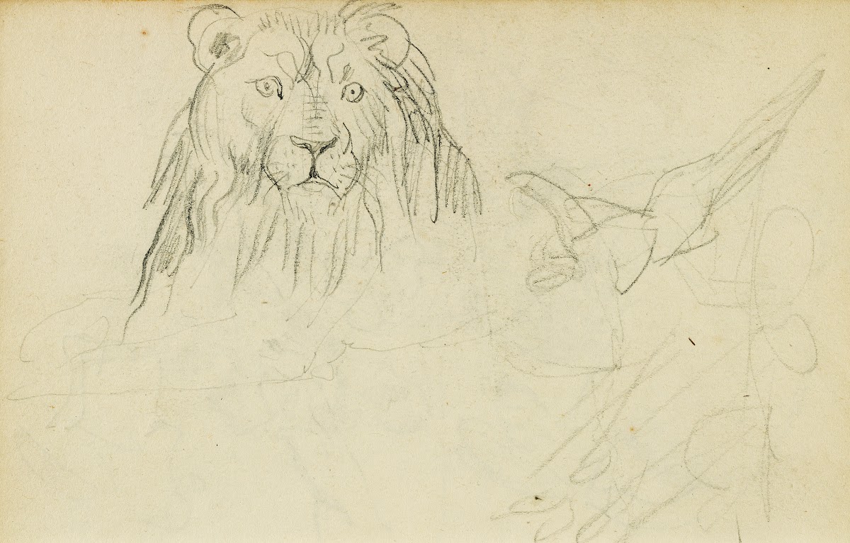Head on view of seated lion 1812   1814