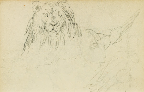Head on view of seated lion 1812   1814