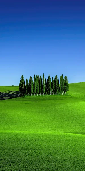 Green Meadows In Tuscany Landscape Scenery 4K iPhone Wallpaper Background