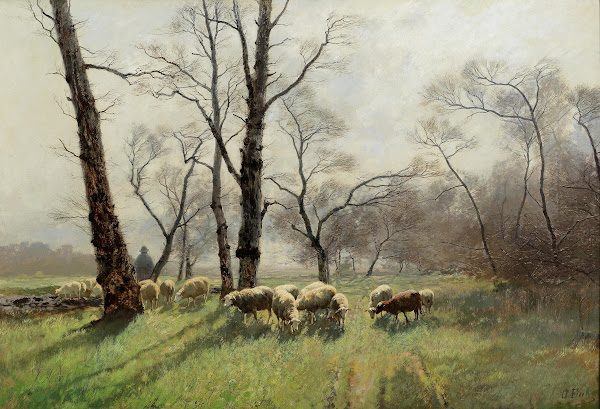 Shepherd With His Flock In The Evening Light