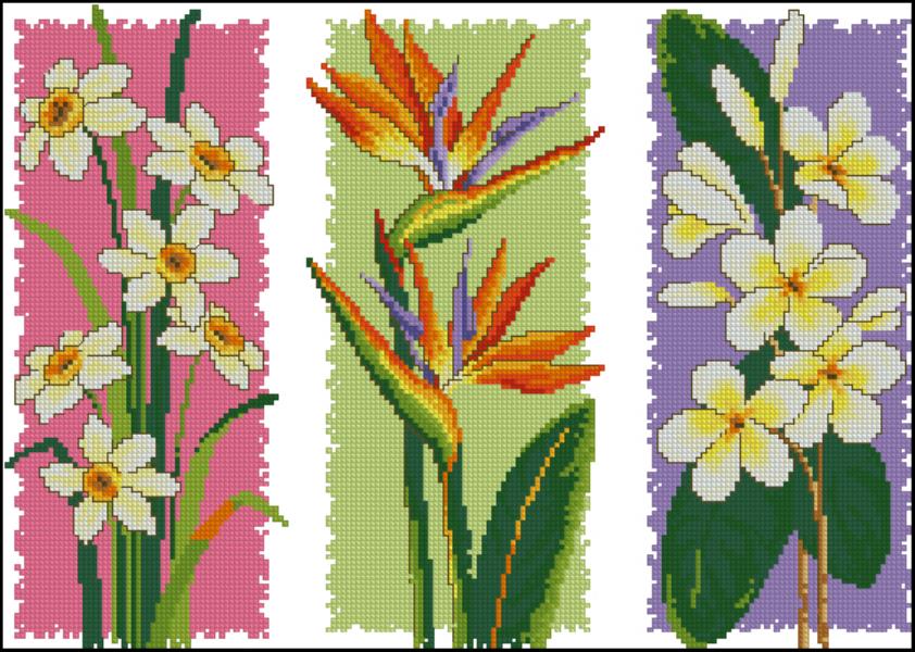 CMP 340045 Flowers