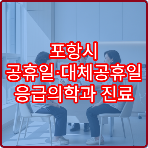 포항시 공휴일·대체공휴일 응급의학과 진료 휴일 응급환자 진료 가능