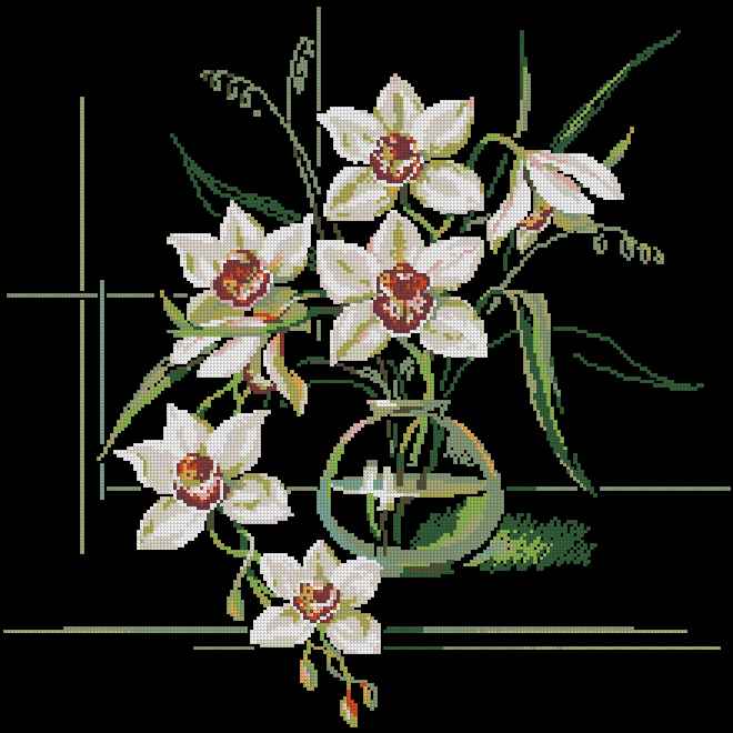 CMP 171344 Flowers