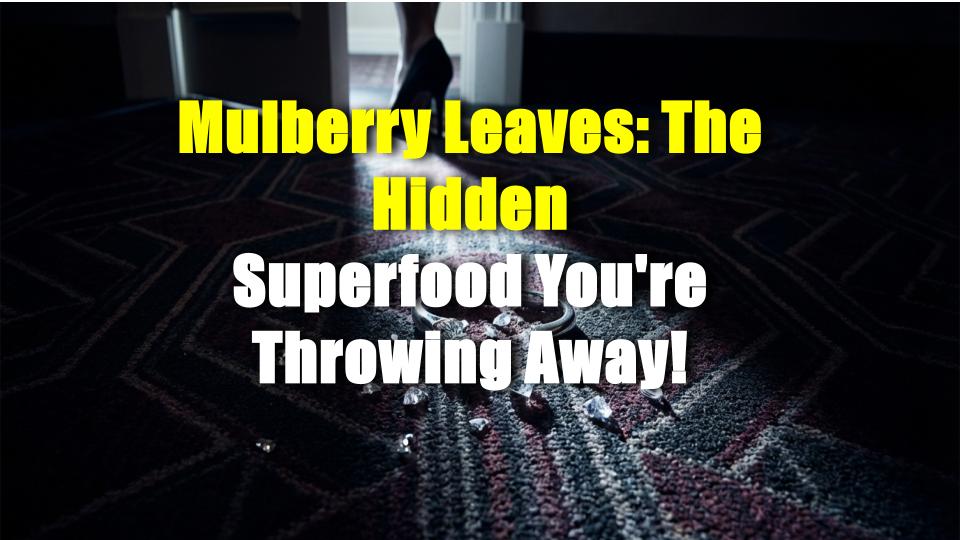 Mulberry Leaves: The Hidden Superfood Youre Throwing Away!