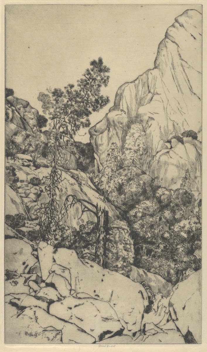 Pines and Pinnacles 1900 1925