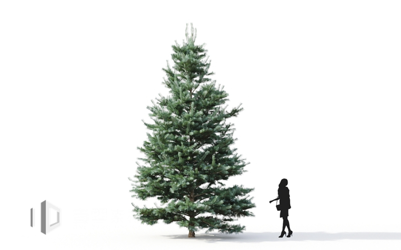 Maxtree - Plant Models Vol.9