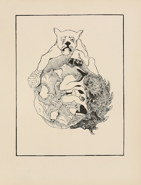 The Jaguar the Hedgehog the Tortoise and the Armadillo all in a heap 1902