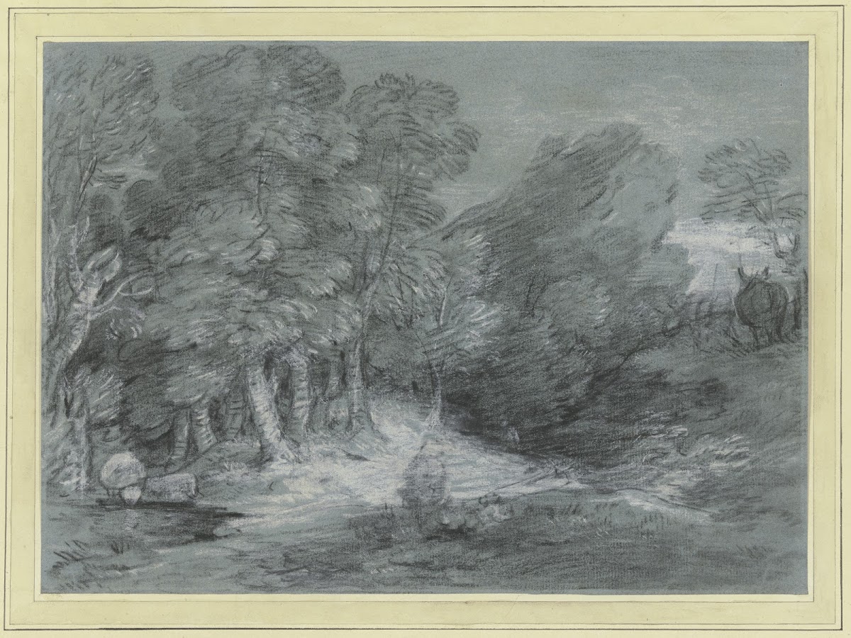 Forest landscape